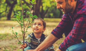 Father and son planting a small tree.