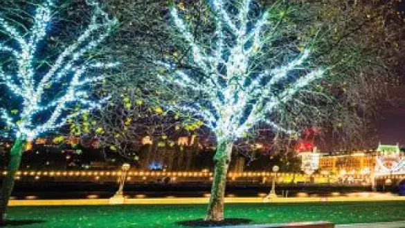 Lit up trees during the Holiday Period in London